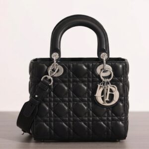 Lady Dior Handbag (Small)