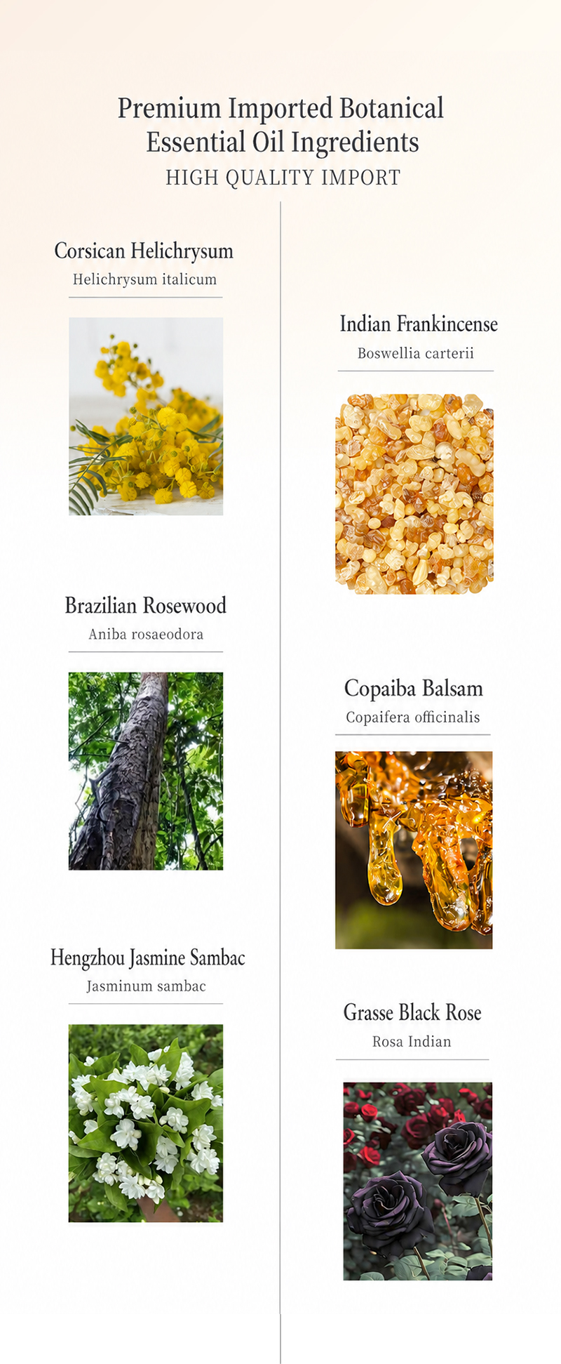 Amber Radiance Facial Essence Oil detail image 8